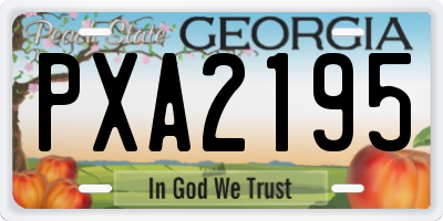 GA license plate PXA2195