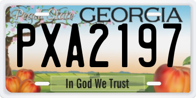 GA license plate PXA2197