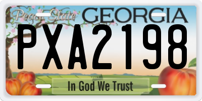 GA license plate PXA2198