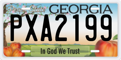 GA license plate PXA2199