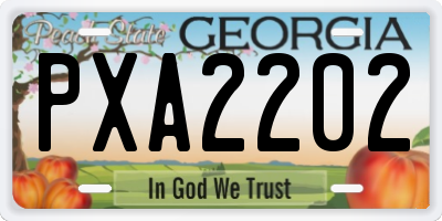 GA license plate PXA2202