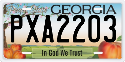 GA license plate PXA2203