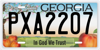 GA license plate PXA2207