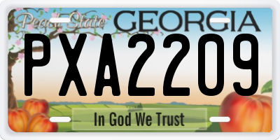GA license plate PXA2209