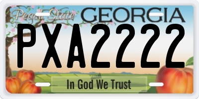 GA license plate PXA2222