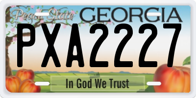 GA license plate PXA2227