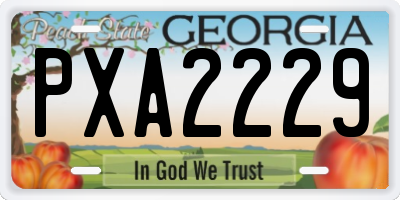 GA license plate PXA2229