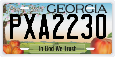 GA license plate PXA2230