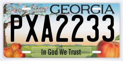 GA license plate PXA2233