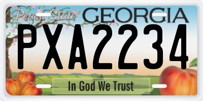 GA license plate PXA2234
