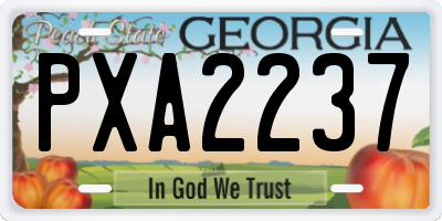GA license plate PXA2237
