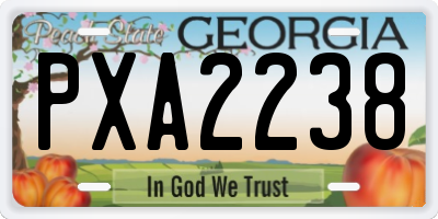 GA license plate PXA2238