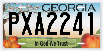 GA license plate PXA2241