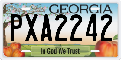 GA license plate PXA2242