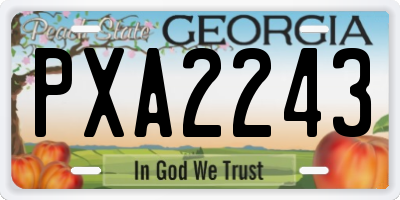 GA license plate PXA2243