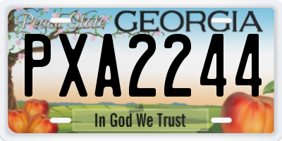 GA license plate PXA2244