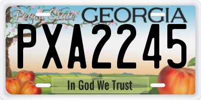 GA license plate PXA2245