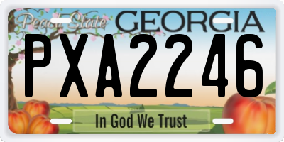 GA license plate PXA2246