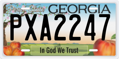 GA license plate PXA2247