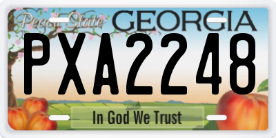 GA license plate PXA2248