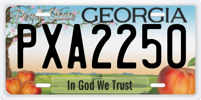 GA license plate PXA2250
