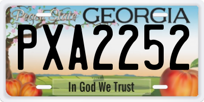 GA license plate PXA2252