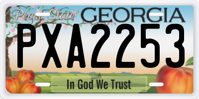 GA license plate PXA2253