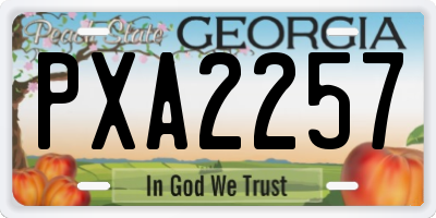 GA license plate PXA2257