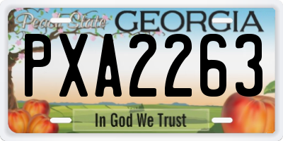 GA license plate PXA2263