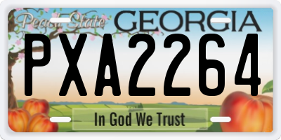 GA license plate PXA2264