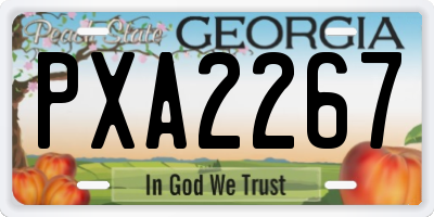 GA license plate PXA2267