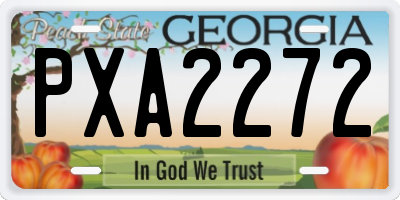 GA license plate PXA2272