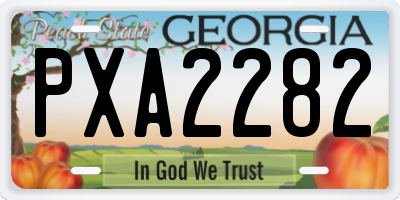 GA license plate PXA2282