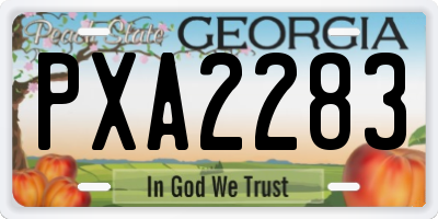 GA license plate PXA2283
