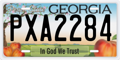 GA license plate PXA2284