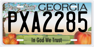 GA license plate PXA2285