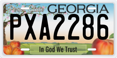 GA license plate PXA2286