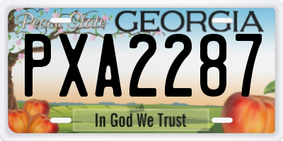 GA license plate PXA2287