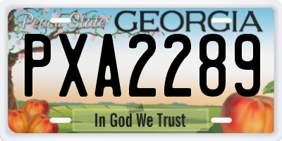 GA license plate PXA2289
