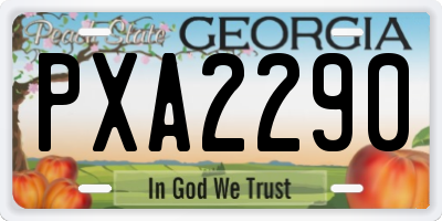 GA license plate PXA2290