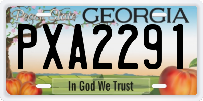 GA license plate PXA2291
