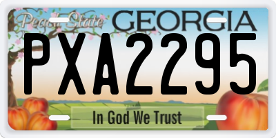 GA license plate PXA2295