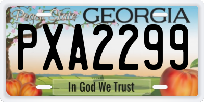GA license plate PXA2299