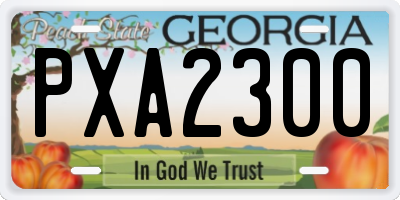 GA license plate PXA2300
