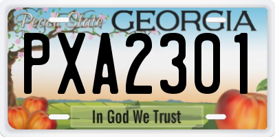 GA license plate PXA2301