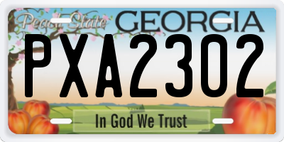 GA license plate PXA2302