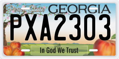 GA license plate PXA2303