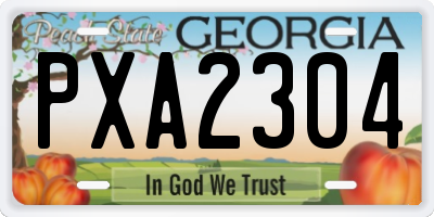 GA license plate PXA2304
