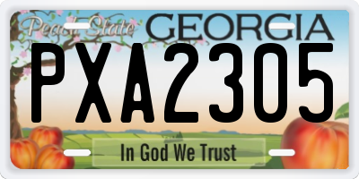 GA license plate PXA2305