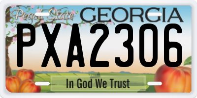 GA license plate PXA2306